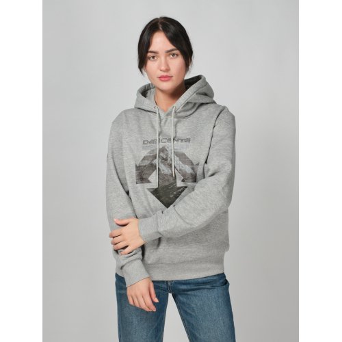 Худи Descente